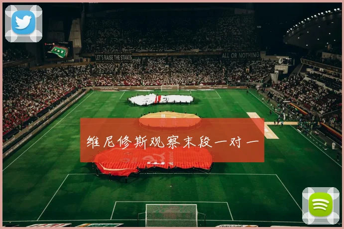 维尼修斯观察末段一对一