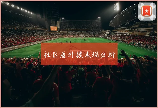 社区盾外援表现分析